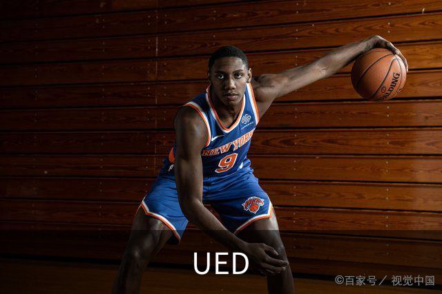 UED公司简介图片